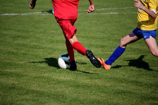 爱游戏中国官方登录入口网站-特色足球文化在国际博览会中亮相，展示国家软实力，世界足球文化